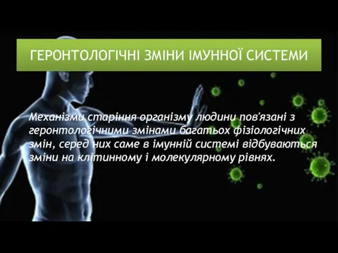 ГЕРОНТОЛОГІЧНІ ЗМІНИ ІМУННОЇ СИСТЕМИ Механізми старіння організму людини пов'язані з