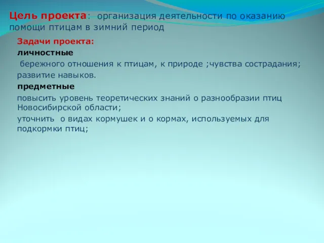 Цель проекта: организация деятельности по оказанию помощи птицам в зимний