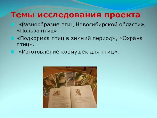 Темы исследования проекта «Разнообразие птиц Новосибирской области», «Польза птиц» «Подкормка