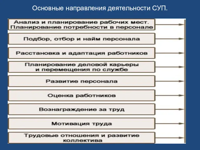 Основные направления деятельности СУП.