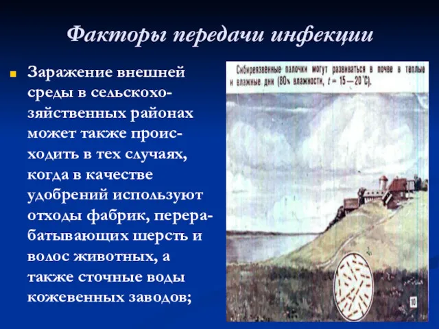 Факторы передачи инфекции Заражение внешней среды в сельскохо-зяйственных районах может
