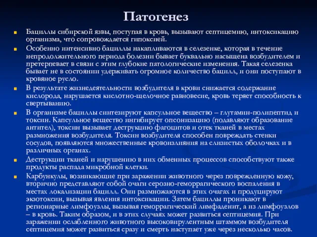 Патогенез Бациллы сибирской язвы, поступая в кровь, вызывают септицемию, интоксикацию