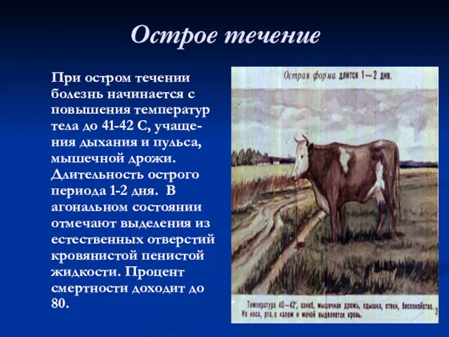 Острое течение При остром течении болезнь начинается с повышения температур