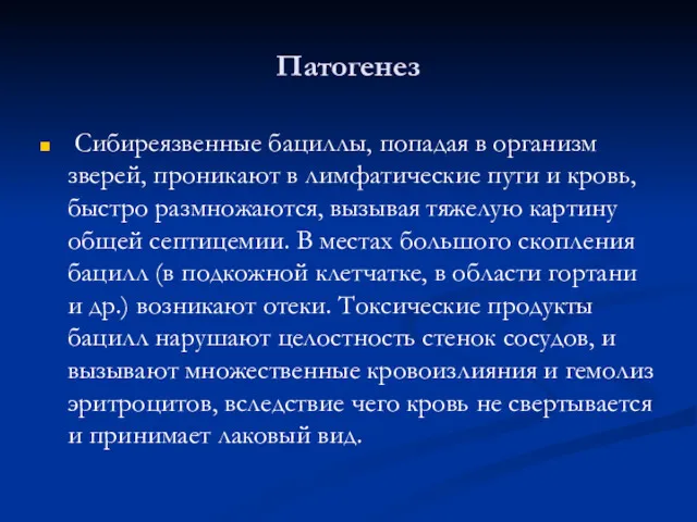 Патогенез Сибиреязвенные бациллы, попадая в организм зверей, проникают в лимфатические