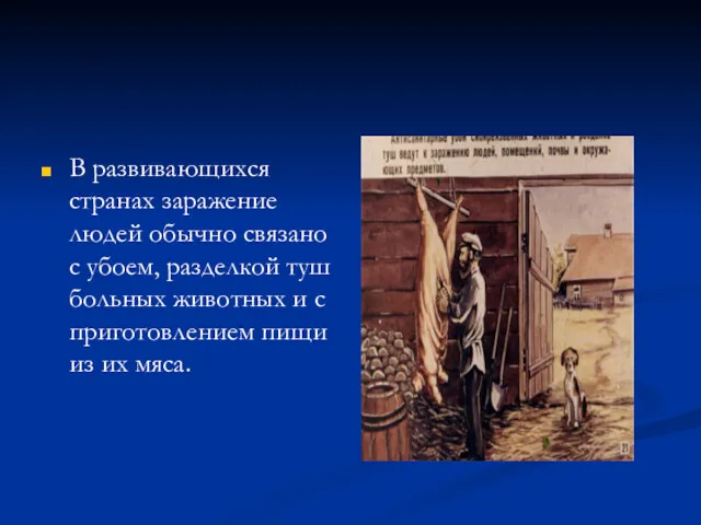 В развивающихся странах заражение людей обычно связано с убоем, разделкой