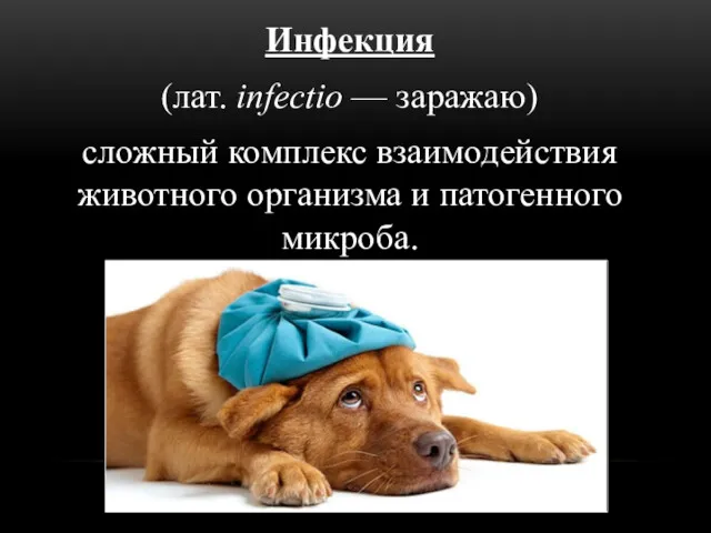 Инфекция (лат. infectio — заражаю) сложный комплекс взаимодействия животного организма и патогенного микроба.