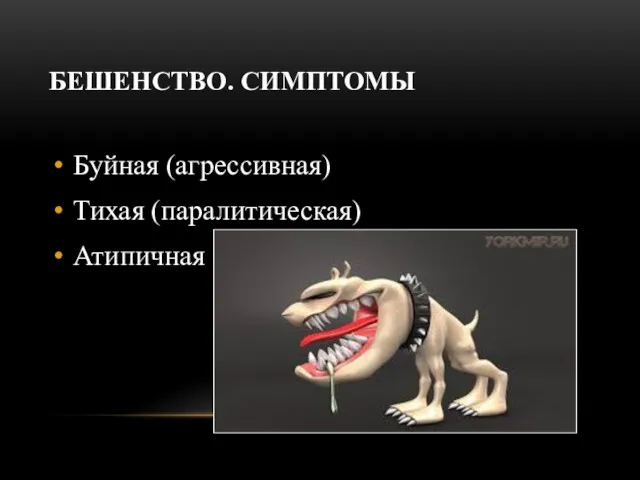 БЕШЕНСТВО. СИМПТОМЫ Буйная (агрессивная) Тихая (паралитическая) Атипичная