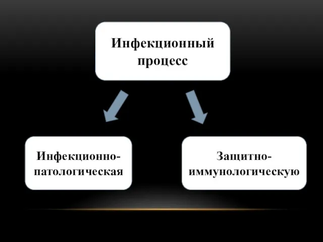 Инфекционный процесс Инфекционно-патологическая Защитно-иммунологическую