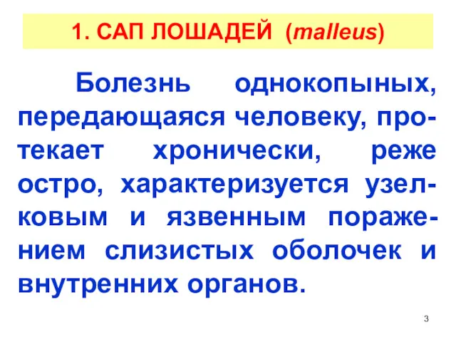 1. САП ЛОШАДЕЙ (malleus) Болезнь однокопыных, передающаяся человеку, про-текает хронически,