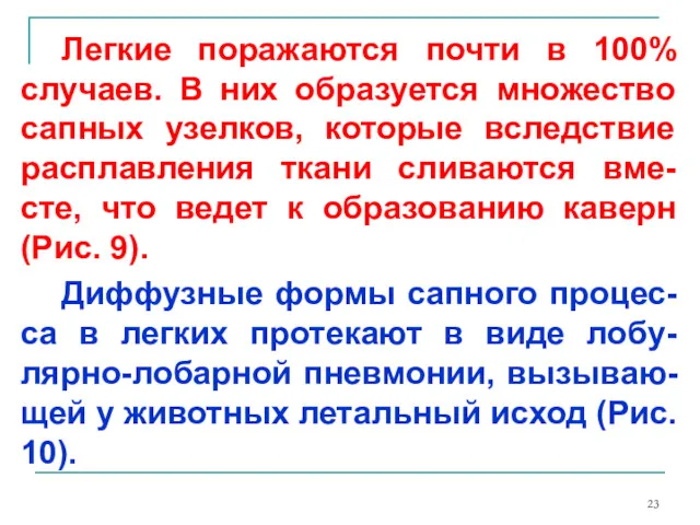 Легкие поражаются почти в 100% случаев. В них образуется множество