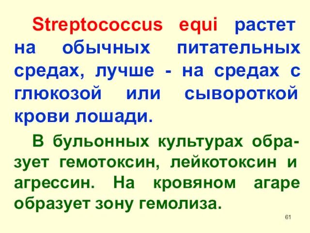 Streptococcus equi растет на обычных питательных средах, лучше - на