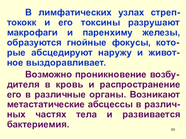 В лимфатических узлах стреп-тококк и его токсины разрушают макрофаги и