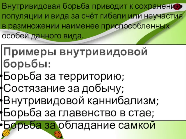 Внутривидовая борьба приводит к сохранению популяции и вида за счёт