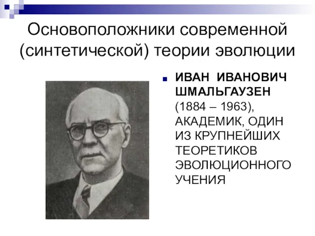 Основоположники современной (синтетической) теории эволюции ИВАН ИВАНОВИЧ ШМАЛЬГАУЗЕН (1884 –