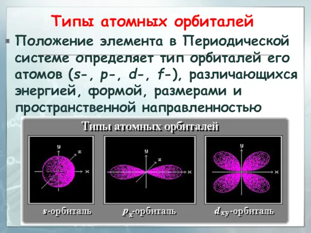 Типы атомных орбиталей Положение элемента в Периодической системе определяет тип