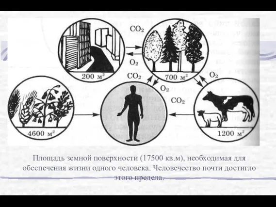 Площадь земной поверхности (17500 кв.м), необходимая для обеспечения жизни одного человека. Человечество почти достигло этого предела.