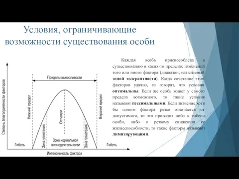 Условия, ограничивающие возможности существования особи Каждая особь приспособлена к существованию