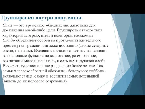 Группировки внутри популяции. Стая — это временное объединение животных для