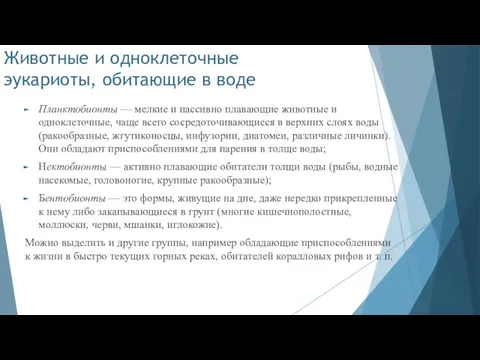 Животные и одноклеточные эукариоты, обитающие в воде Планктобионты — мелкие