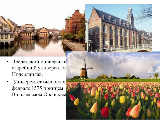 Лейденский университет – старейший университет в Нидерландах. Университет был основан в феврале 1575 принцем Вильгельмом Оранским