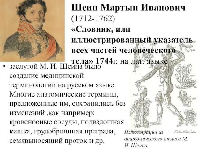заслугой М. И. Шеина было создание медицинской терминологии на русском