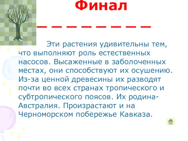 Эти растения удивительны тем, что выполняют роль естественных насосов. Высаженные