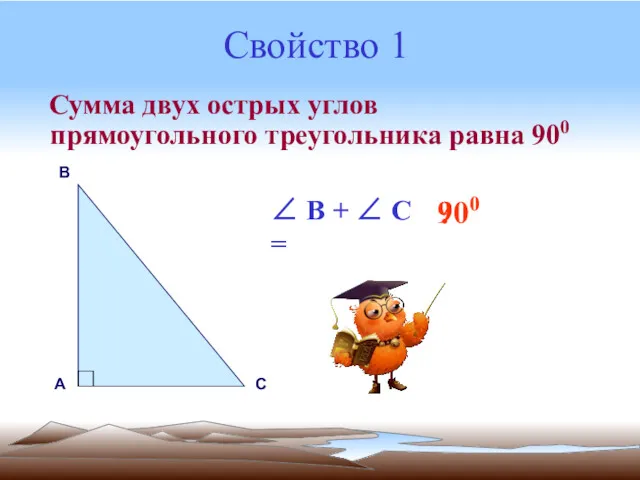 Свойство 1 Сумма двух острых углов прямоугольного треугольника равна 900