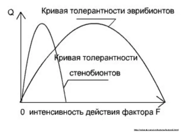 http://veburak.narod.ru/lectures/lecture5.html