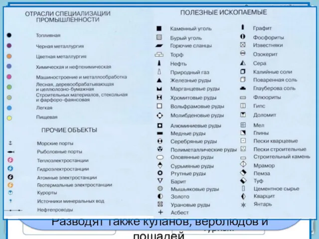 Условные знаки Справка Казахстан В Казахстане производят свои товары LG,