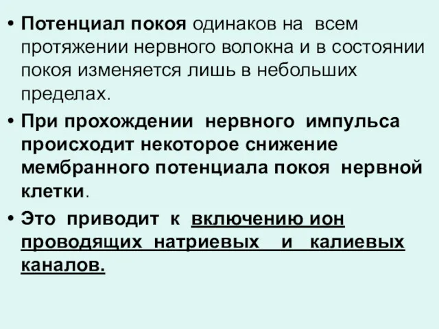 Потенциал покоя одинаков на всем протяжении нервного волокна и в