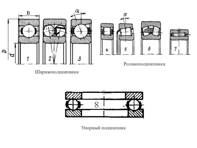 Роликоподшипники Шарикоподшипники Упорный подшипник