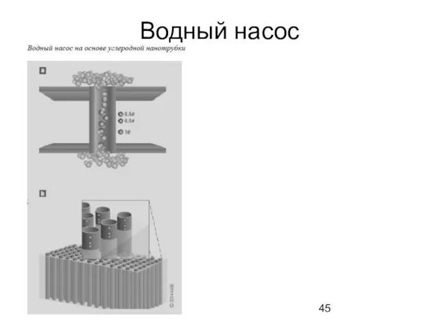 Водный насос