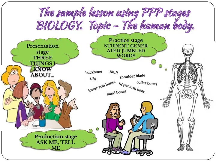 The sample lesson using PPP stages BIOLOGY. Topic - The