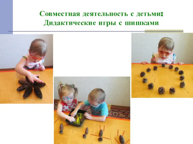 Совместная деятельность с детьми: Дидактические игры с шишками