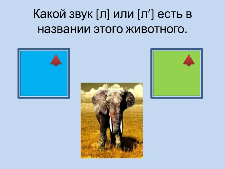 Какой звук [л] или [л’] есть в названии этого животного.