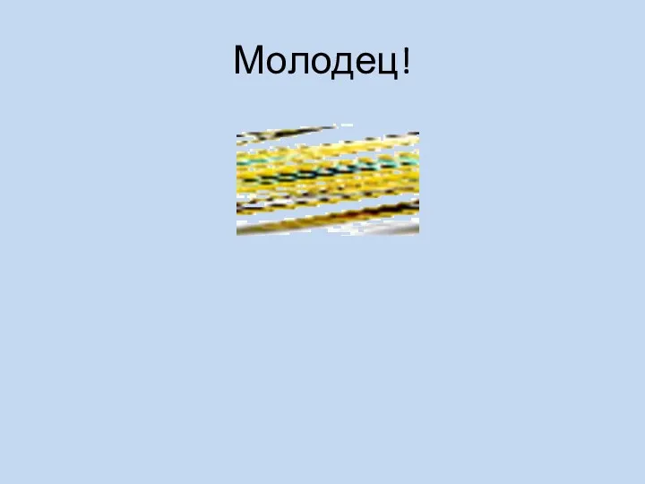 Молодец!