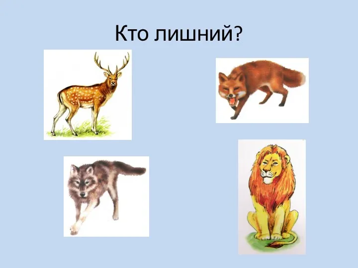 Кто лишний?