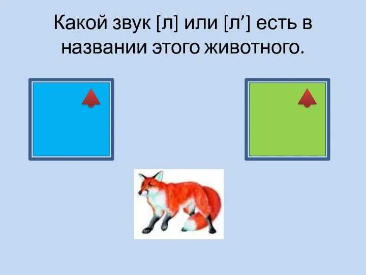 Какой звук [л] или [л’] есть в названии этого животного.