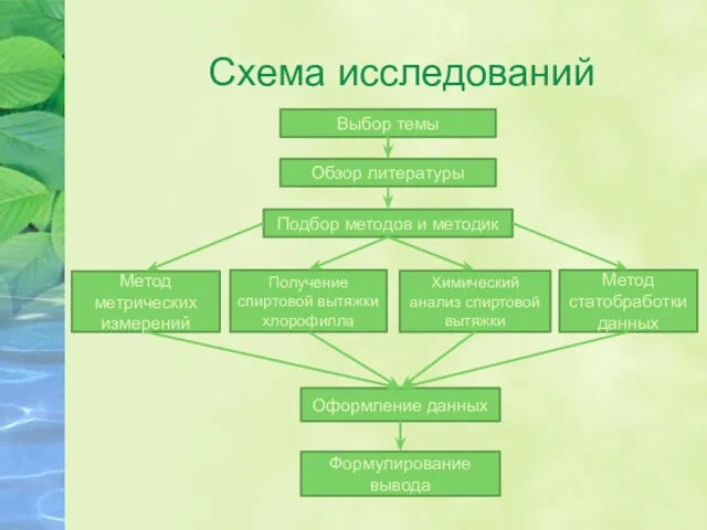 Схема исследований Выбор темы Обзор литературы Подбор методов и методик