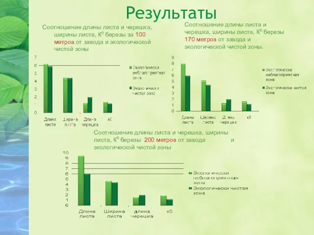 Результаты Соотношение длины листа и черешка, ширины листа, К0 березы