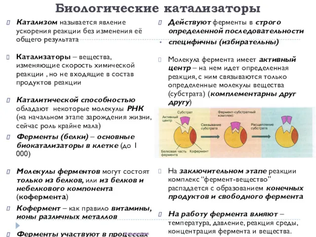 Биологические катализаторы Катализом называется явление ускорения реакции без изменения её