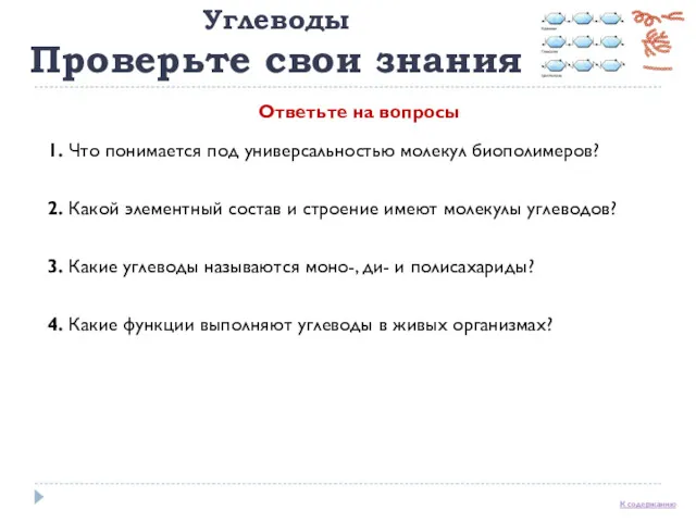 Углеводы Проверьте свои знания 1. Что понимается под универсальностью молекул