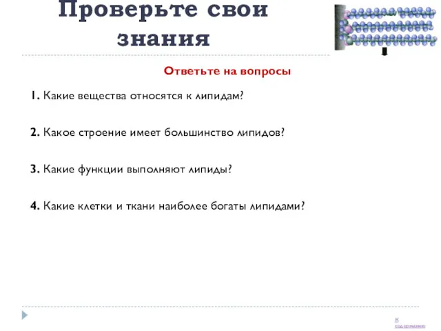 Липиды Проверьте свои знания 1. Какие вещества относятся к липидам?