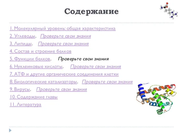 Содержание 1. Молекулярный уровень: общая характеристика 2. Углеводы. Проверьте свои