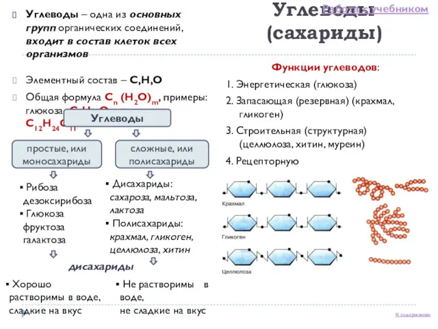 Углеводы (сахариды) Углеводы – одна из основных групп органических соединений,