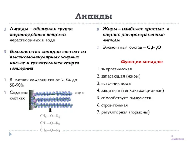 Липиды Липиды – обширная группа жироподобных веществ, нерастворимых в воде