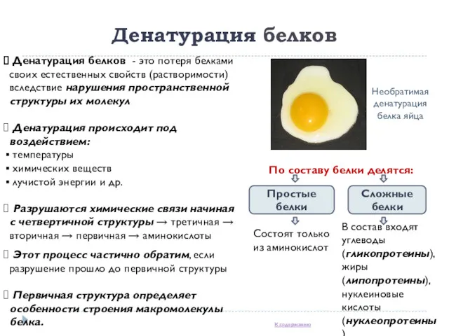 Денатурация белков Денатурация белков - это потеря белками своих естественных