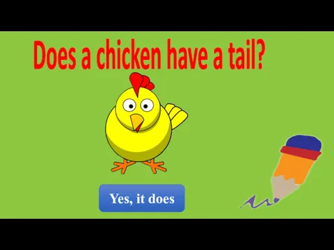 Does a chicken have a tail? Yes, it does