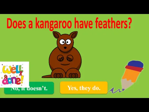 Yes, they do. Does a kangaroo have feathers? No, it doesn’t.
