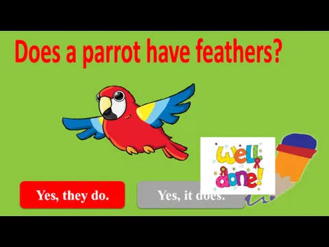 Yes, they do. Does a parrot have feathers? Yes, it does.